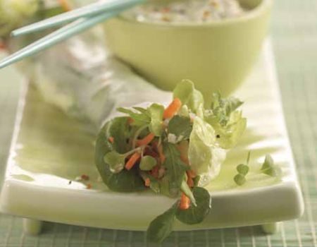 Image of Spring Rolls With Dipping Sauce